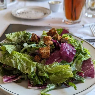 Radicchio salad