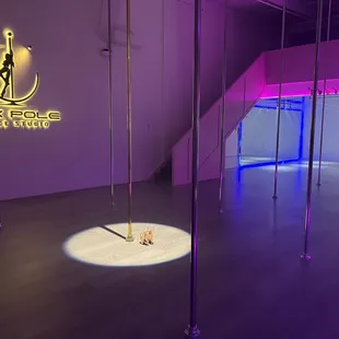 Your ultimate pole party destination