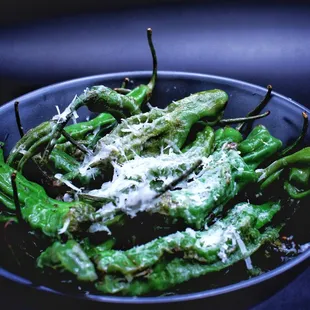 Shishito Peppers
Roasted Mayer Lemon, Pecorino, Wild Garlic