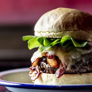 a cheeseburger on a plate