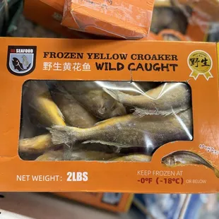 frozen yellow croaker wild caught