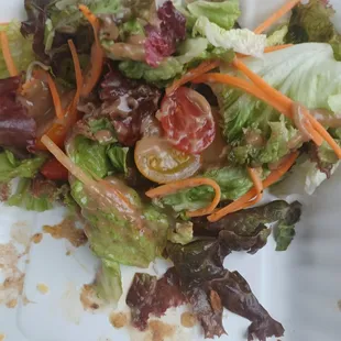 How much salad there was with a small burger