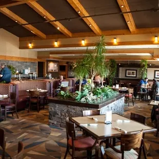 Main Restaurant area