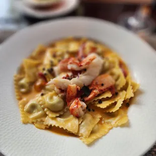 pasta dish, food, pasta