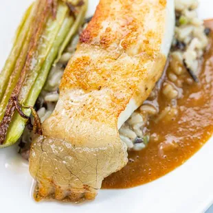 Turbot Rôti: Braised Celery | Dirty Rice | Salmis Sauce