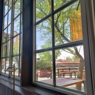 Looking out