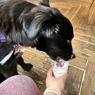 Pup