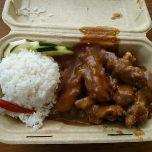 Chicken Curry Burrito