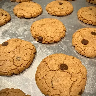 Gluten free peanut butter chocolate chip cookie