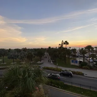 a view of a parking lot and palm trees