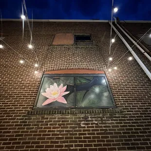 a pink flower in a window