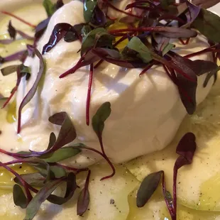 Burrata