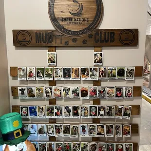 Designated driver photo wall...