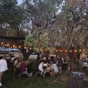 Beautiful twinkle lights