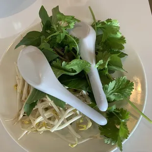 Side dish of pho garnish