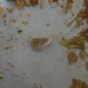 Bone inside food