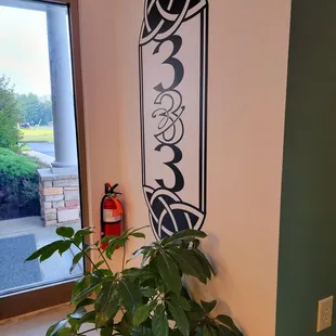 a plant in front of a window