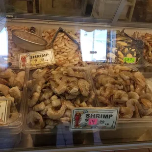 shrimp, shrimp, shrimp, shrimp, shrimp, shrimp, shrimp, shrimp, shrimp, shrimp, shrimp, shrimp