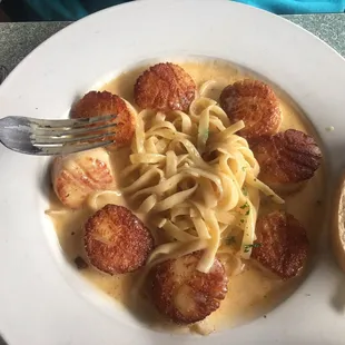 Day Boat Scallops