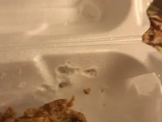 Ray's Pizza & Chicken Inc