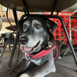 #jockothetaco enjoying the people watching