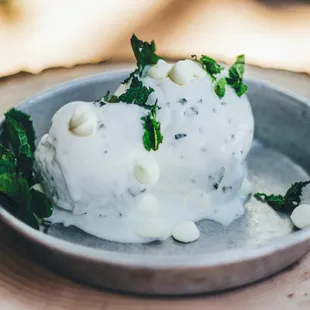 Mint Chocolate Chip