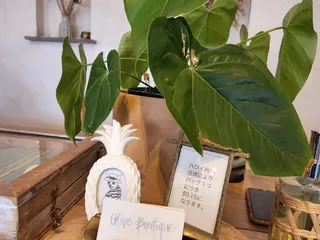 Olive Boutique