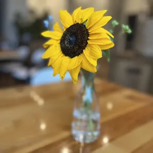 Beautiful fresh flowers