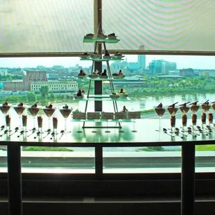 360 Steakhouse Famous Desserts! 360 Steakhouse is rated as one of Open Table's Top 100 Scenic Restaurants in America for its ...