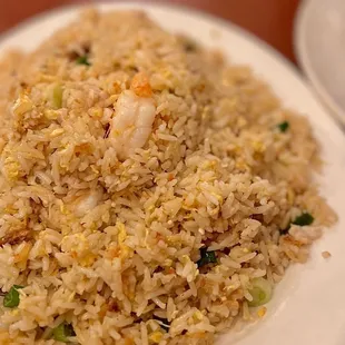 Salted Fish Fried Rice / Com Chien Ca Mang