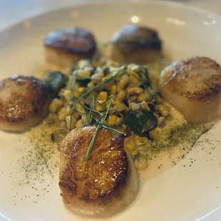 Scallops