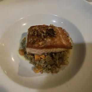 Salmon