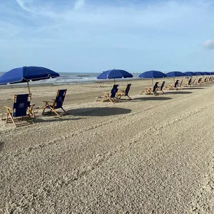 Beach chairs and umbrellas
