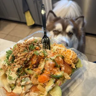 Medium Poke Bowl