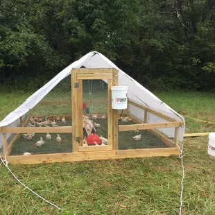 One of our field shelters. These protect our birds while also giving them the health benefits of living outside. They're moved everyday.