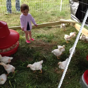 Children love seeing the animals and we love having visitors!