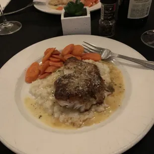 Black Grouper