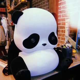 Cutest panda I've ever seen