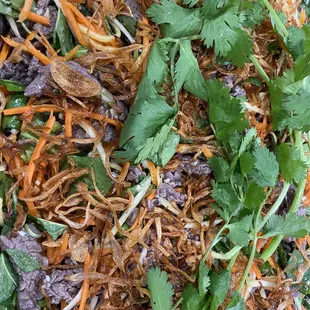 Beef and mango salad