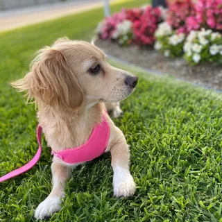 Rosie S.