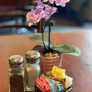 a potted orchid and salt and pepper shakers