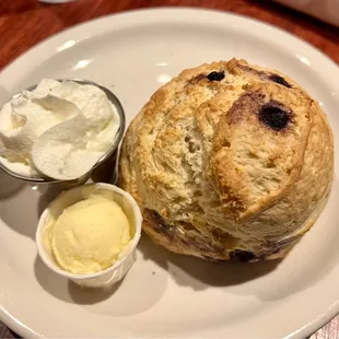 3rd Coast Scone (blueberry)