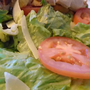 Chicken Caesar Wrap