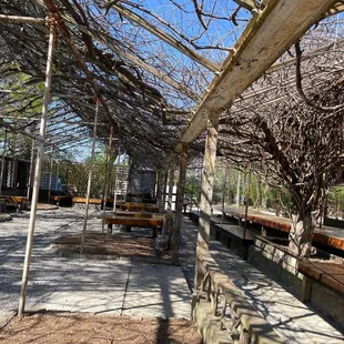 a covered walkway with benches