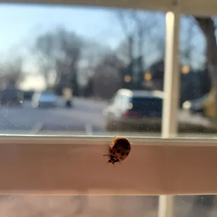 Checking out (false) spring!
