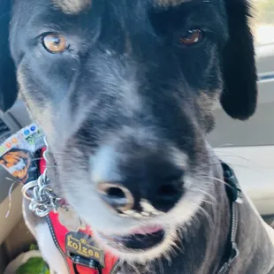 Simi says she loves her haircut