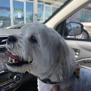 Happy puppets just had a bath!