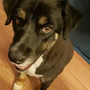 Simi with her haircut