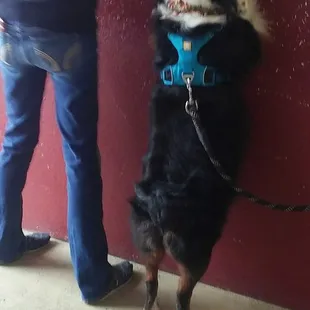 Akira is making her next appointment, you should too!