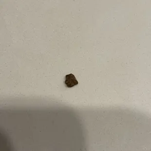 Pebble from the salad.